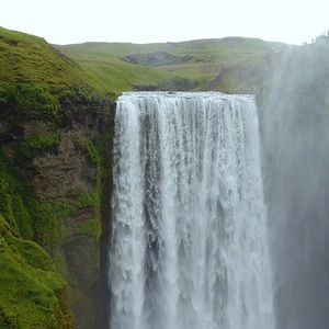 Meet your Posher, Edwin